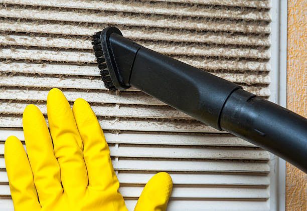 Best Residential Air Duct Cleaning  in Orleans, IN