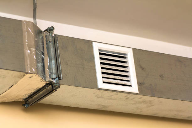 Best Local Air Duct Cleaning Services  in Orleans, IN